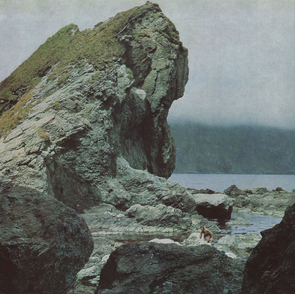 MANY NIGHTS (vinyl) - Front Cover