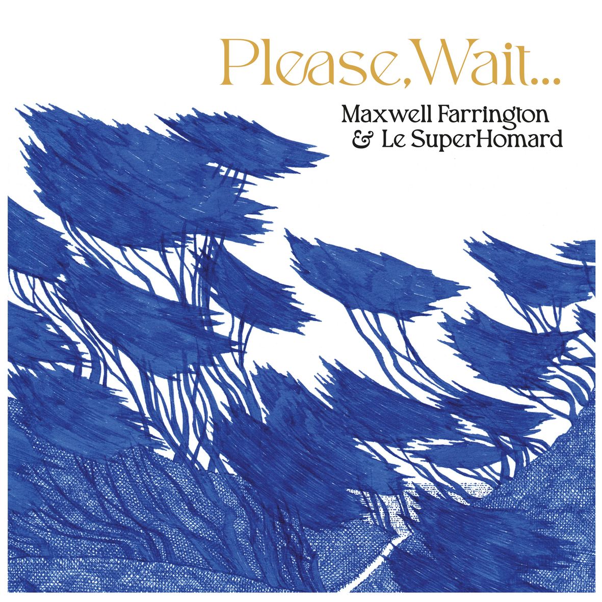 PLEASE, WAIT… (vinyl) - Front Cover