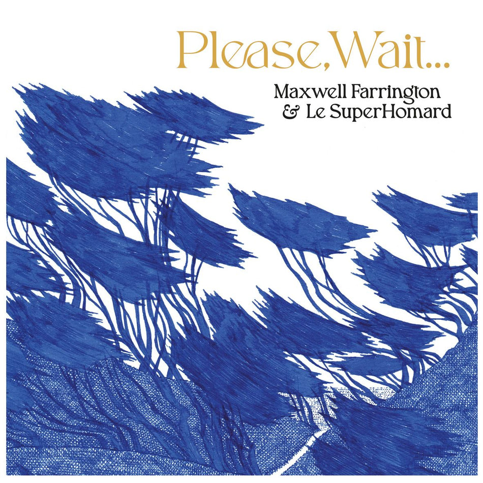 PLEASE, WAIT… (vinyl) - Front Cover