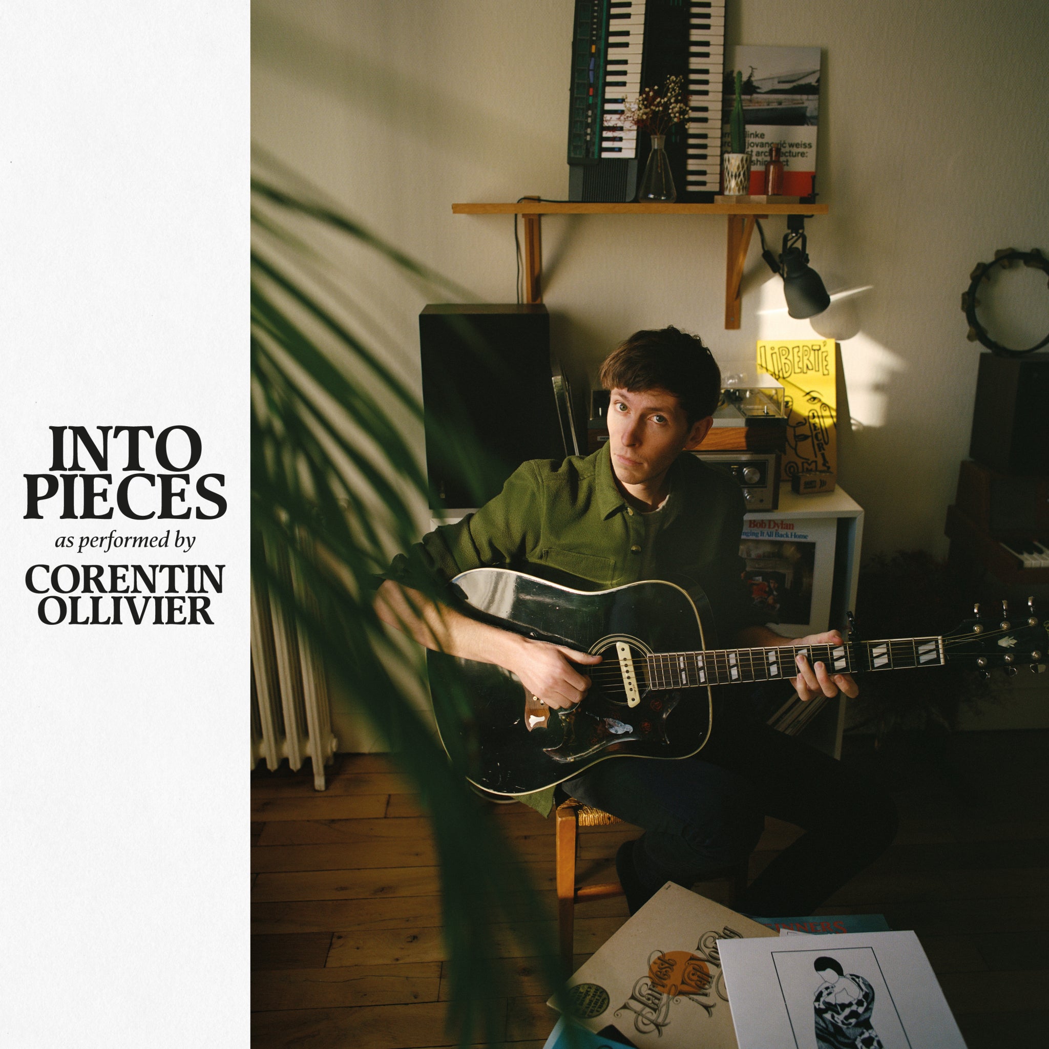 Into Pieces - Front Cover