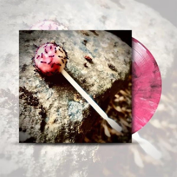 Antisweet - Front Cover