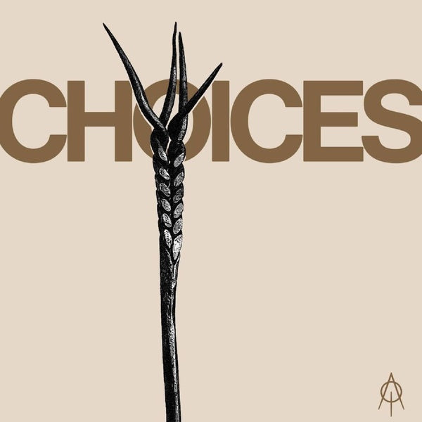 Choices - Front Cover