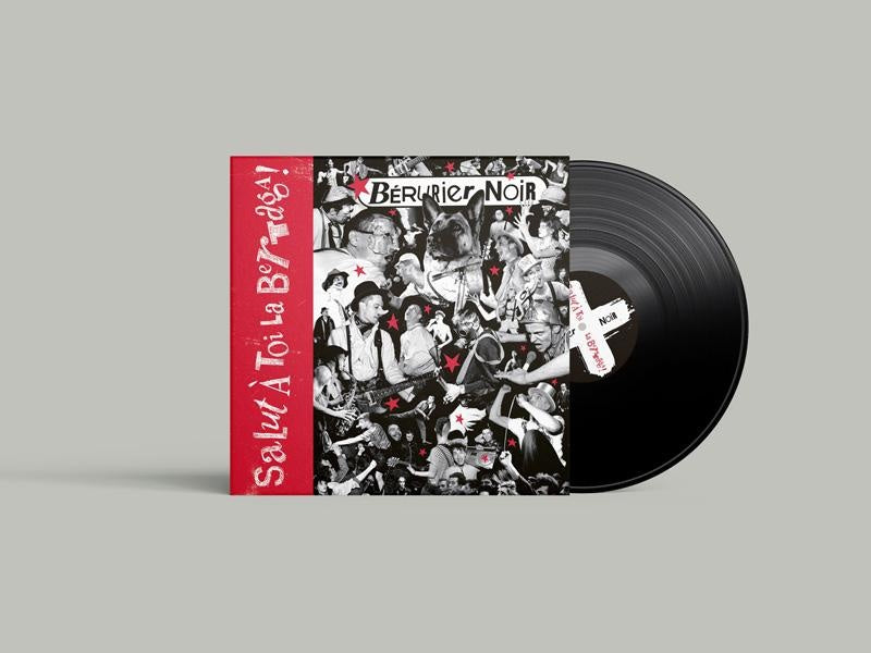 Salut Ă toi la Bertaga - Front Cover