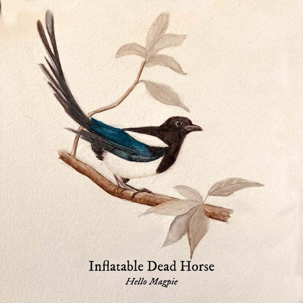 Hello Magpie - Front Cover