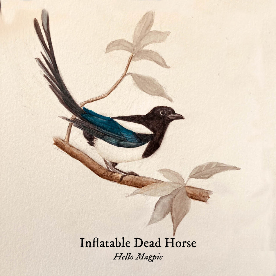 Hello Magpie - Front Cover