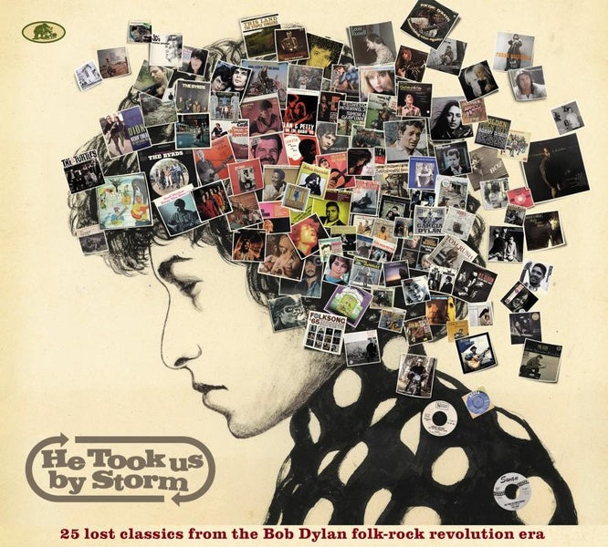 He Took Us By Storm - 25 Forgotten Gems from the Bob Dylan Folk-Rock Revolution Era - Front Cover
