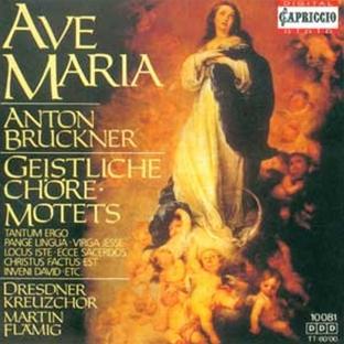 Motets et oeuvres chorales sacrées - Front Cover