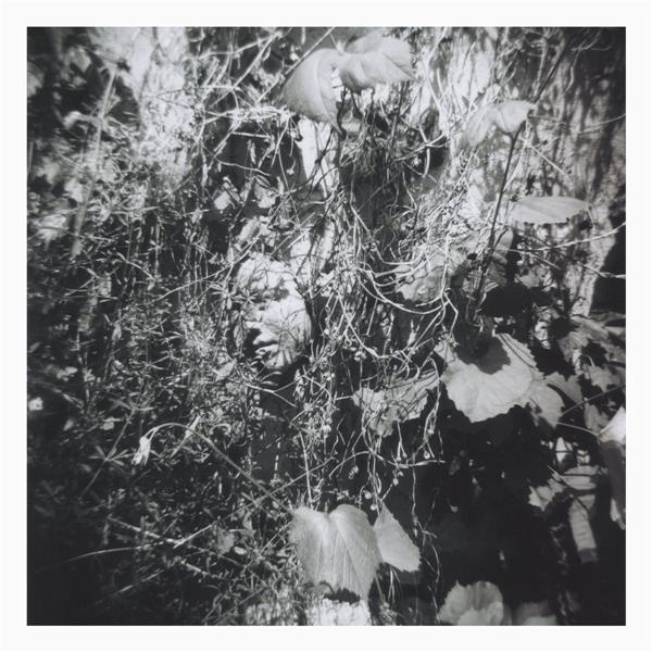 Now Is The Last Best Time - Front Cover