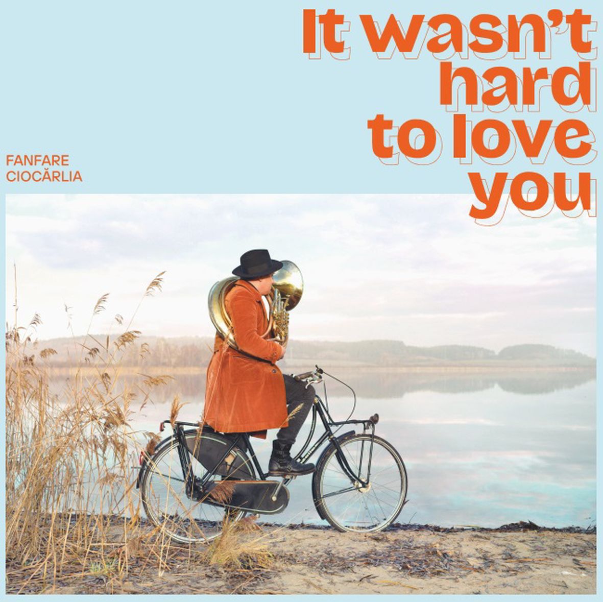 IT WASN'T HARD TO LOVE YOU (vinyl) - Front Cover