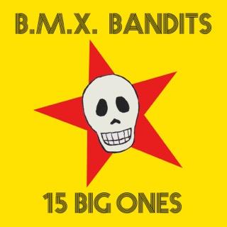 15 Big Ones - Front Cover