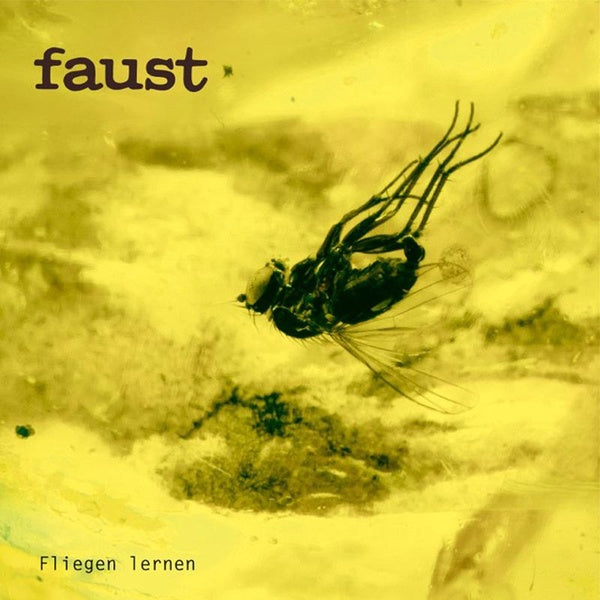Fliegen Lernen - Curated By Gunther Wusthoff - édition colorée - Front Cover