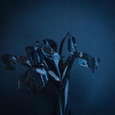 The Rifts - Front Cover