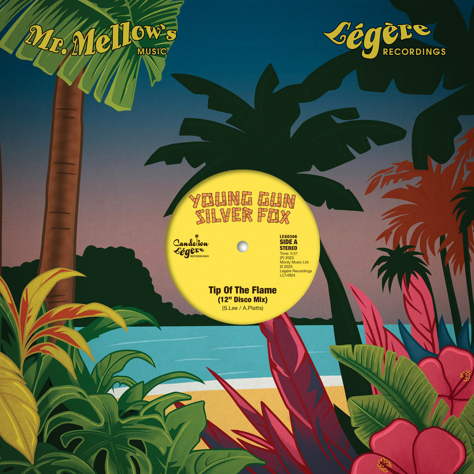 DISCO MIXES - Front Cover