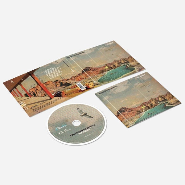 Pleasure - Front Cover