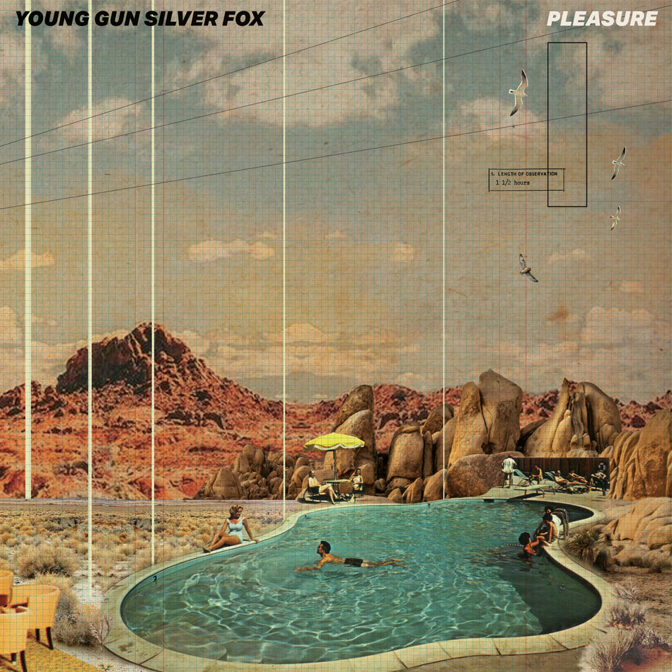 PLEASURE - Front Cover