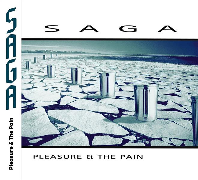 The pleasure & the pain - Front Cover