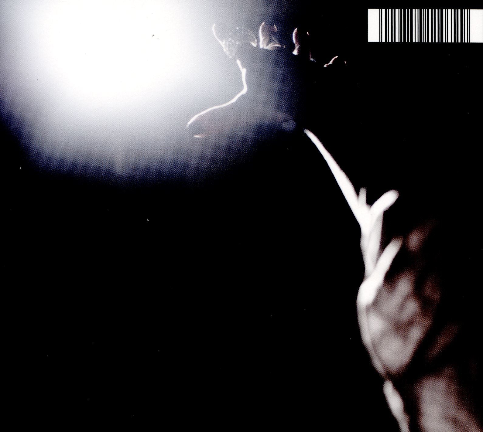 BRIGHTEST VOID (THE) - Back Cover