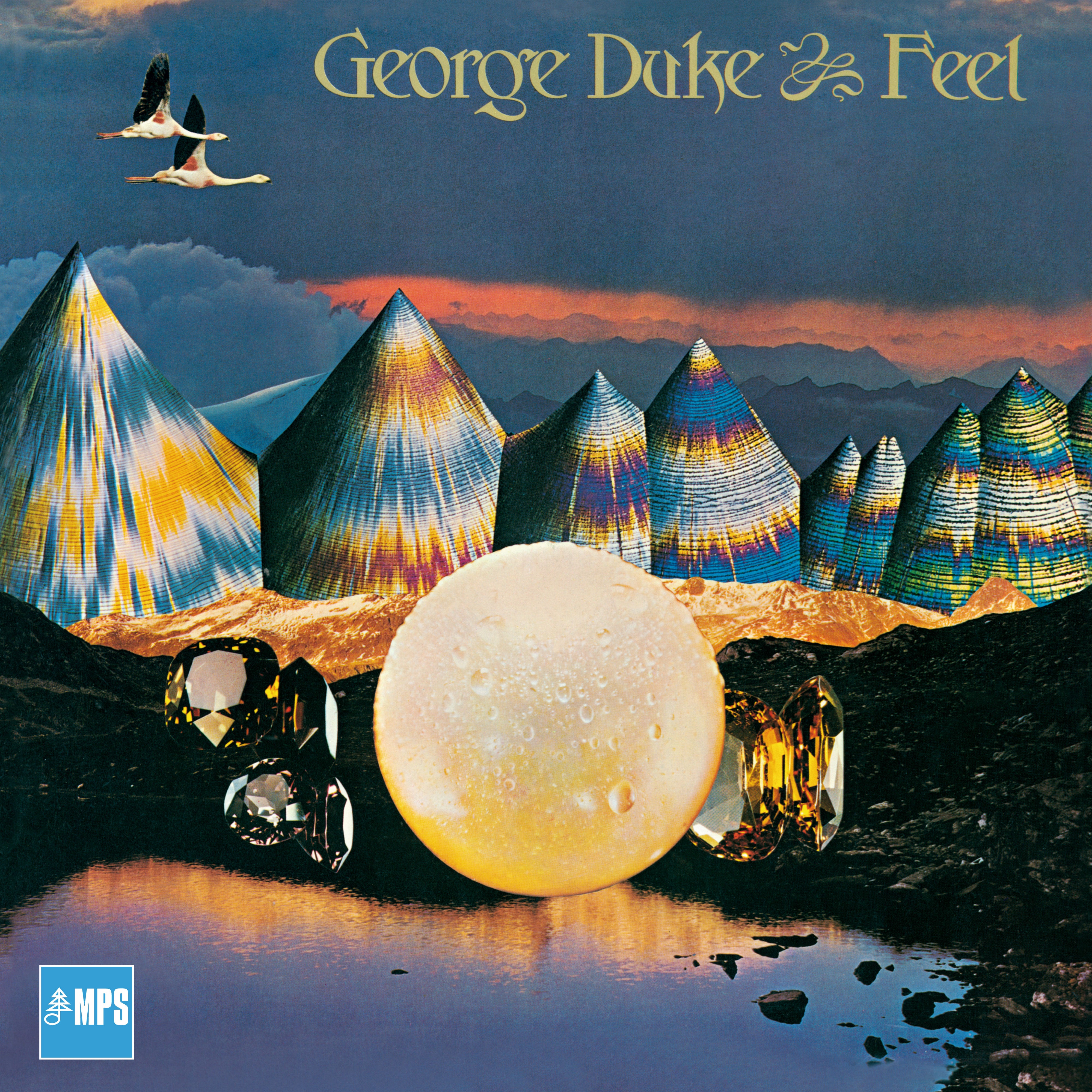 FEEL - Front Cover