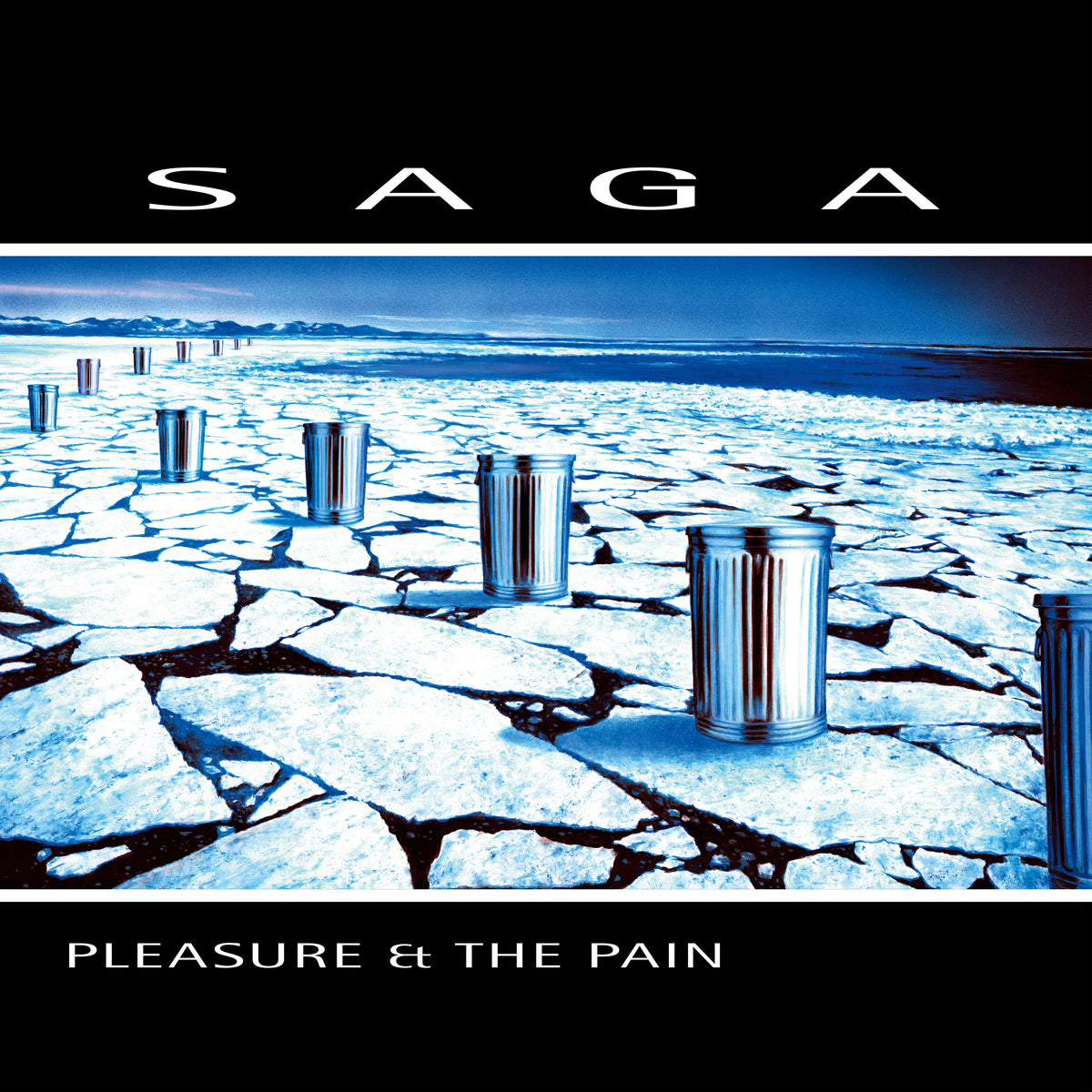 PLEASURE AND THE PAIN - Front Cover