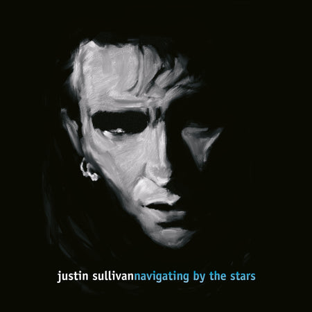 NAVIGATING BY THE STARS - Front Cover