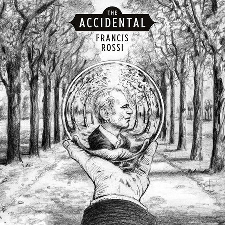 The Accidental - Front Cover