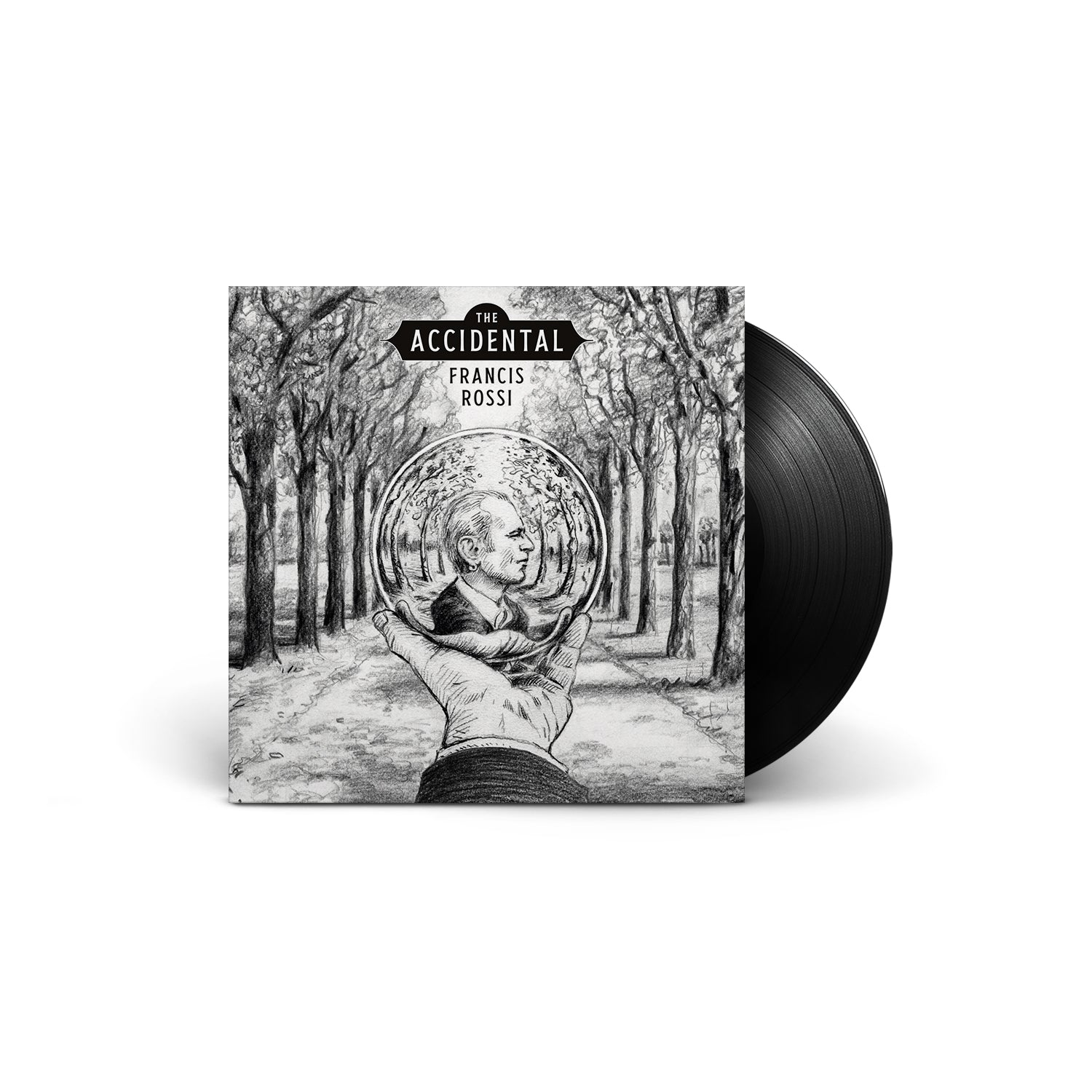 THE ACCIDENTAL - Front Cover