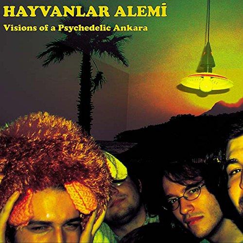 Visions of a psychedelic Ankara - Front Cover