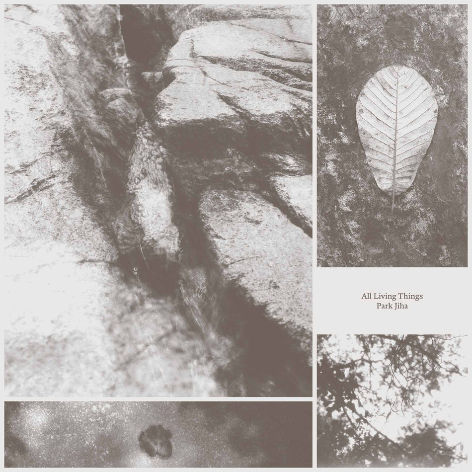 All Living Things - Front Cover