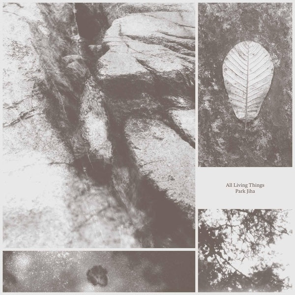 All Living Things - Front Cover