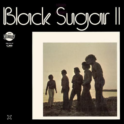 Black Sugar II - Front Cover