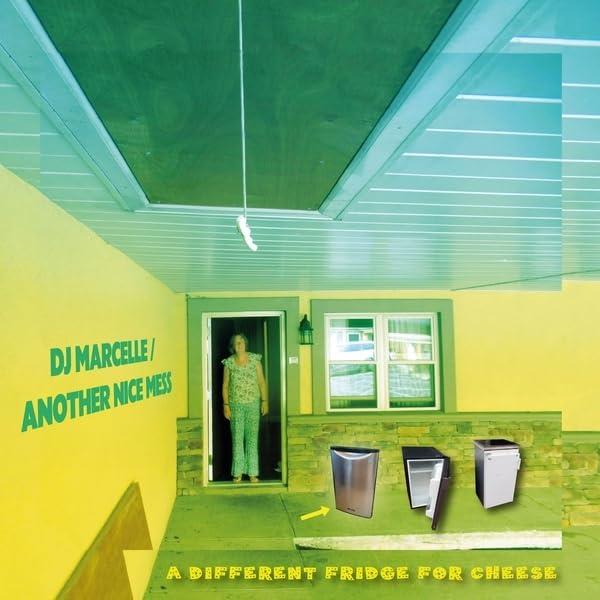 A DIFFERENT FRIDGE FOR CHEESE - Front Cover