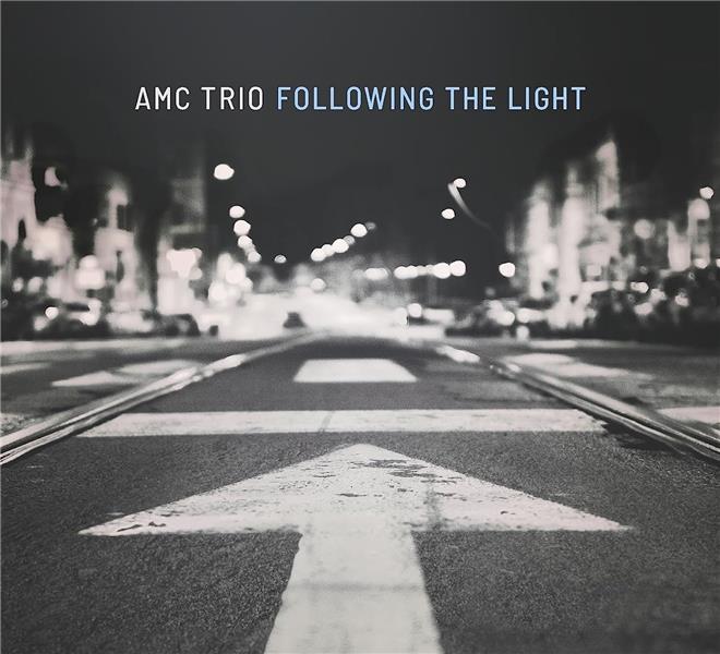 FOLLOWING THE LIGHT - Front Cover