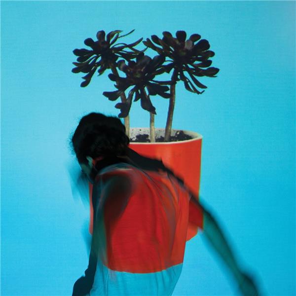 Sunlit youth - Front Cover