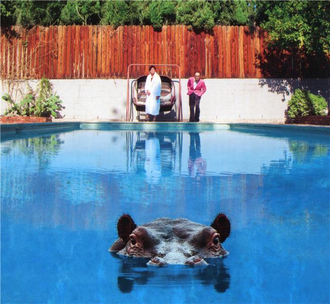 Hippopotamus - Front Cover