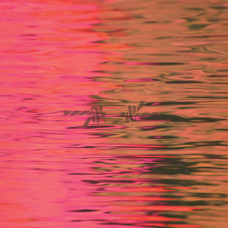 DEAD REFLECTION - Front Cover