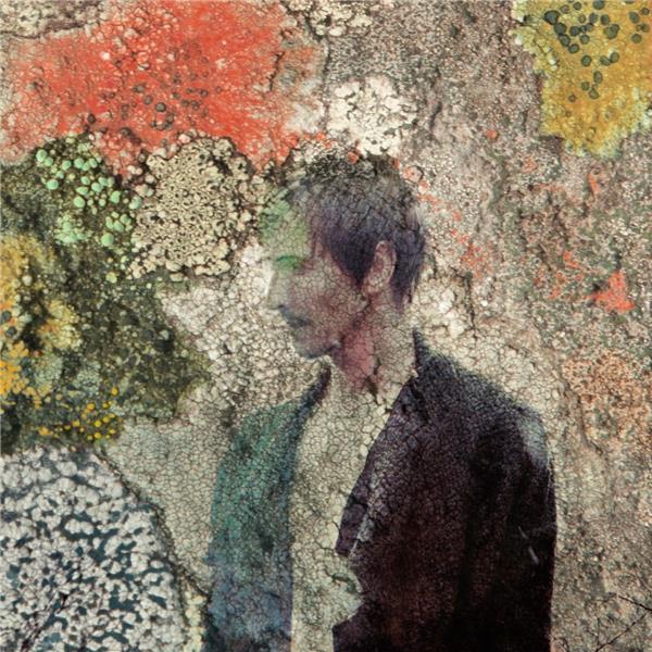 INTELLIGENTLE - Front Cover