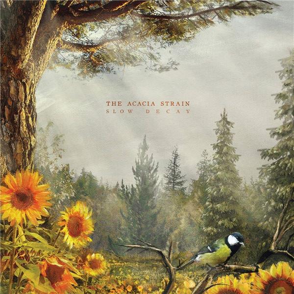 Slow Decay - Front Cover