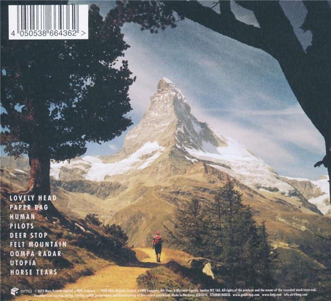 Felt Mountain - Front Cover