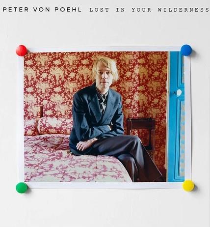 Lost In Your Wilderness / Birds Of Passage - Front Cover