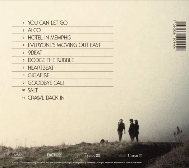 Salt - Front Cover