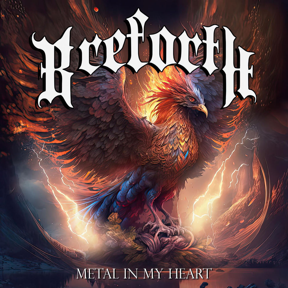 Metal In My Heart - Front Cover