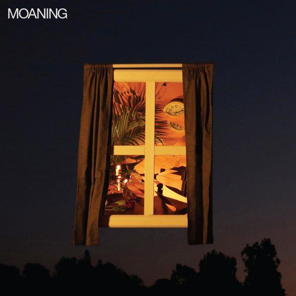 Moaning - Loser Edition - Front Cover