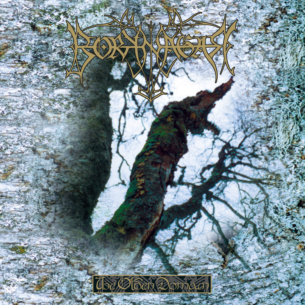 OLDEN DOMAIN-REISSUE/LTD- - Front Cover