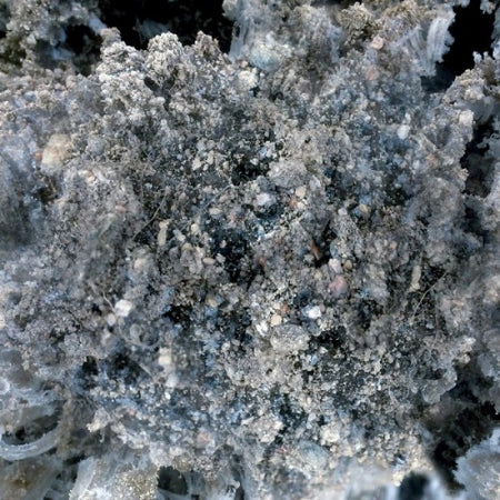 Maa Antaa Yon Vaientaa - Front Cover