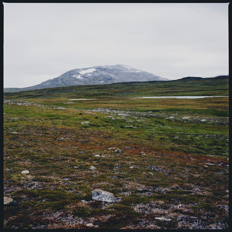 TUNDRA - Front Cover