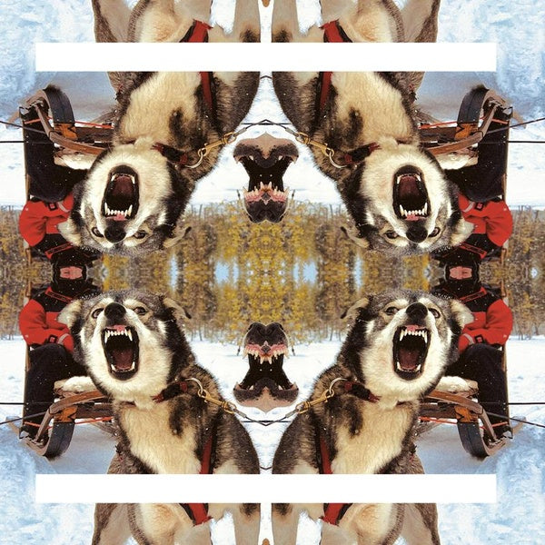 Ii - Front Cover