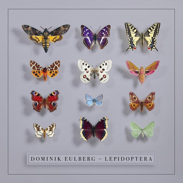 Lepidoptera - Front Cover