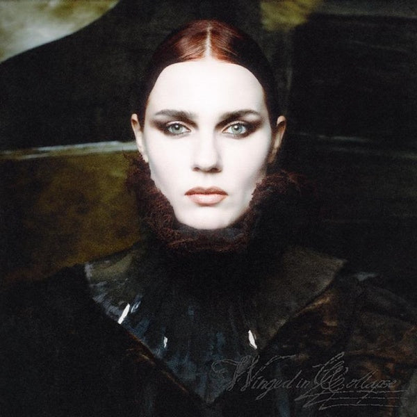 Winged In Collapse - Front Cover