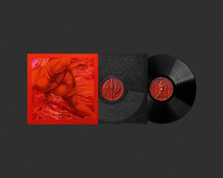 Dja Dja - Vinyle - Front Cover