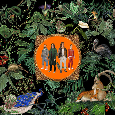 AMAZING THINGS - Front Cover